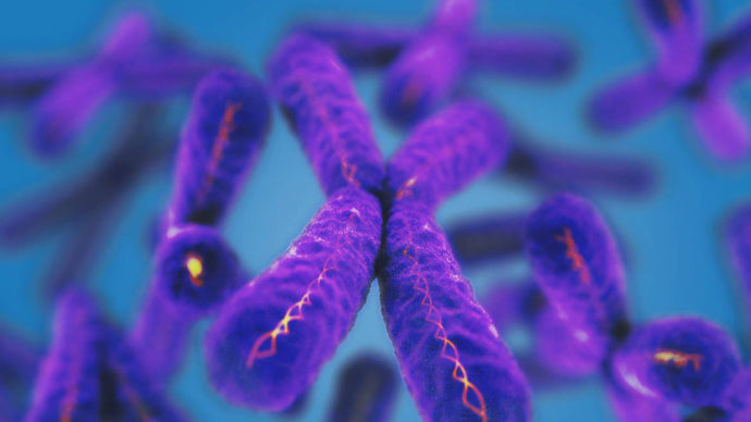 La importancia de los telómeros durante la pandemia del COVID-19